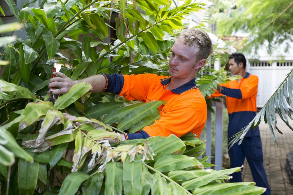 Paspalis_CBC_050 Paspalis Facility Services, gardening